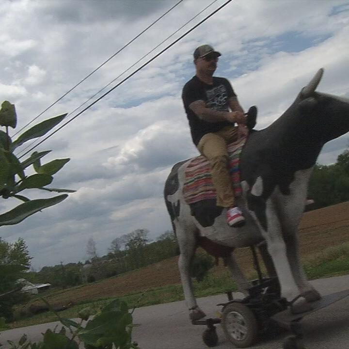 Radio Flyer 4 - Fiberglass cow